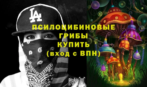 амф Арсеньев