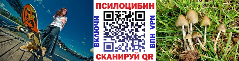 закладка  Горняк  Галлюциногенные грибы Cubensis 